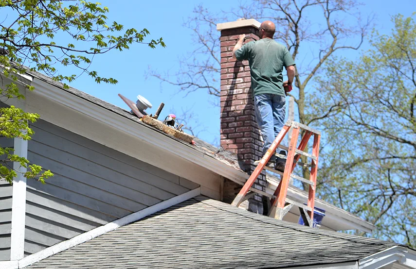 Chimney & Fireplace Inspections Services in Tooele, UT